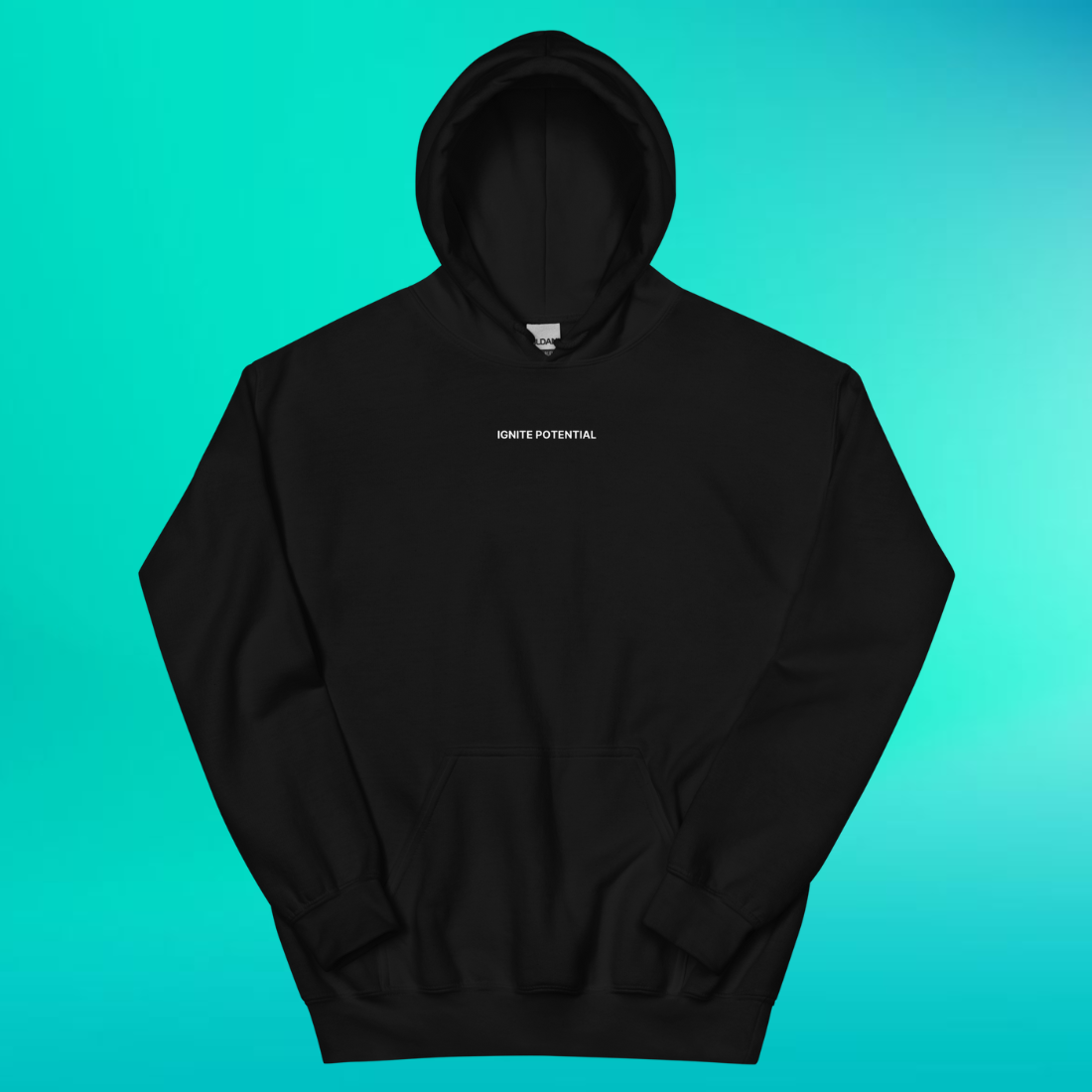 Ignite Potential Hoodie | V1
