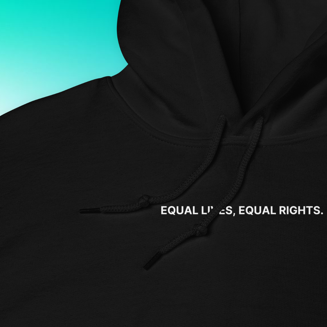 Equal Lives, Equal Rights Hoodie | V1