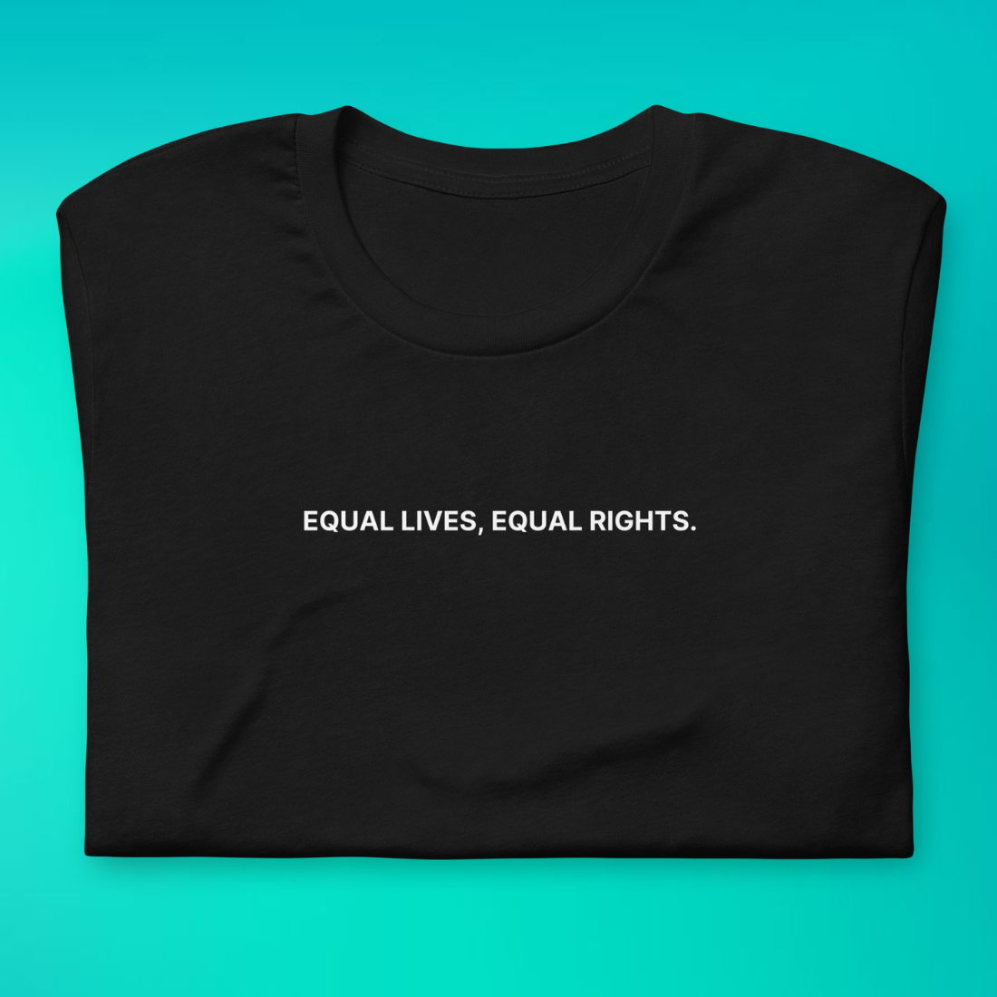 Equal Lives, Equal Rights T-Shirt | V1